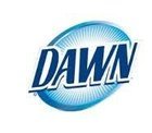 Dawn